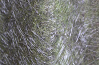 Eisgein fibreglass roof work